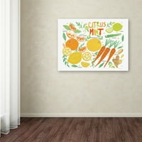 Трговска марка ликовна уметност „овошен пијалак IV на бела“ платно уметност од Фарида Заман