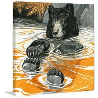 Кул мечка Сликање на сликање на завиткано платно