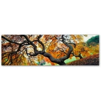 Трговска марка ликовна уметност јапонски јаворов дрвја платно уметност од Григориј О'Ханлон